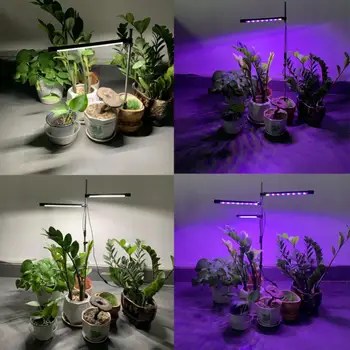 Светодиодная лампа для выращивания комнатных растений, красная, синяя, 4000 К, лампа для выращивания растений полного спектра с тайммером для гидропонной рассады цветов, травы Изображение